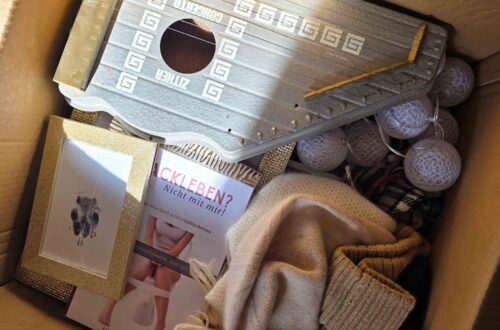 karton gepackt mit Sachen