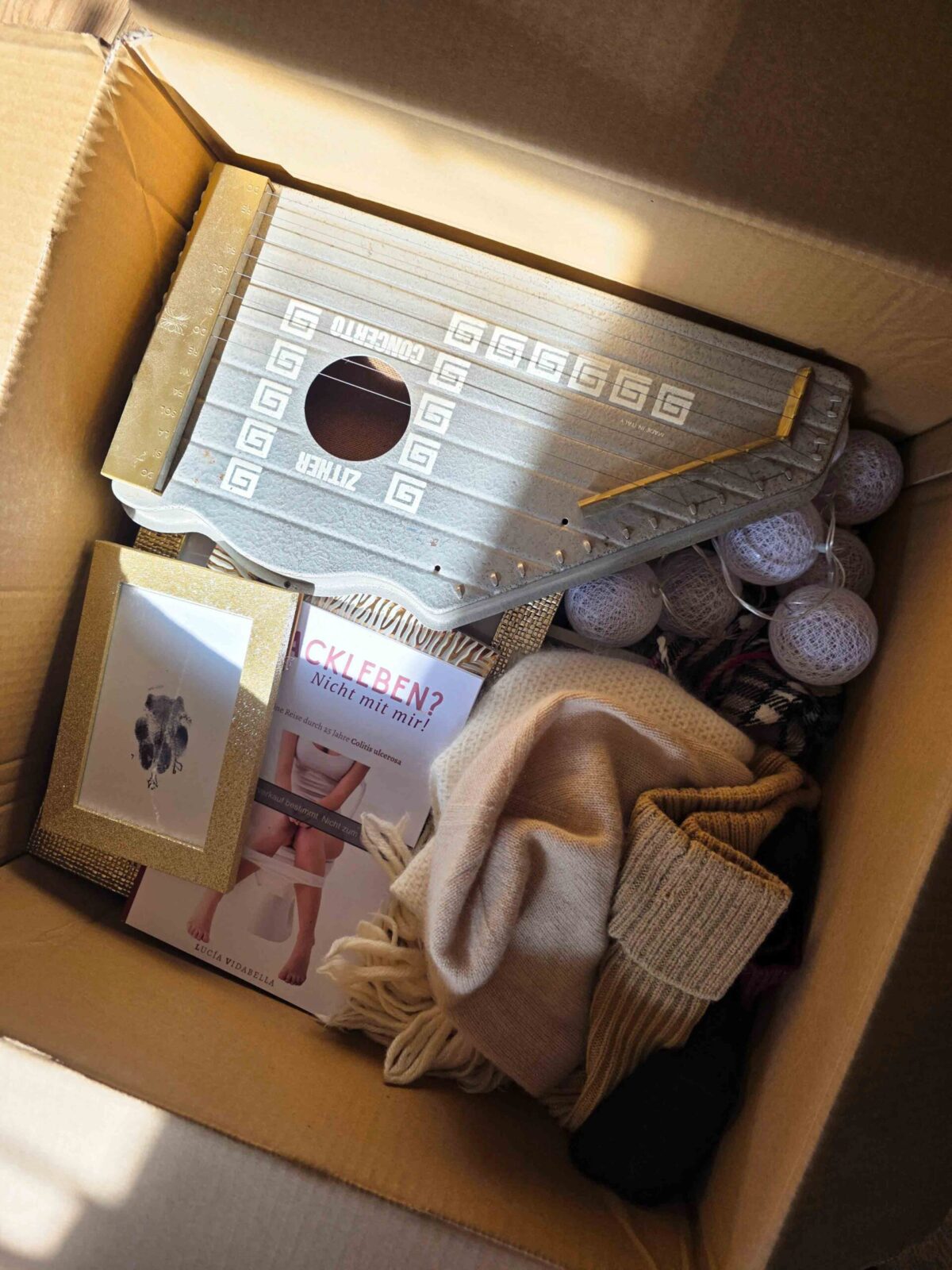 karton gepackt mit Sachen