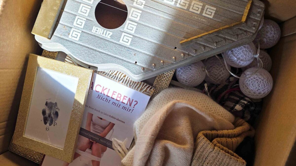 karton gepackt mit Sachen