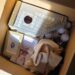 karton gepackt mit Sachen